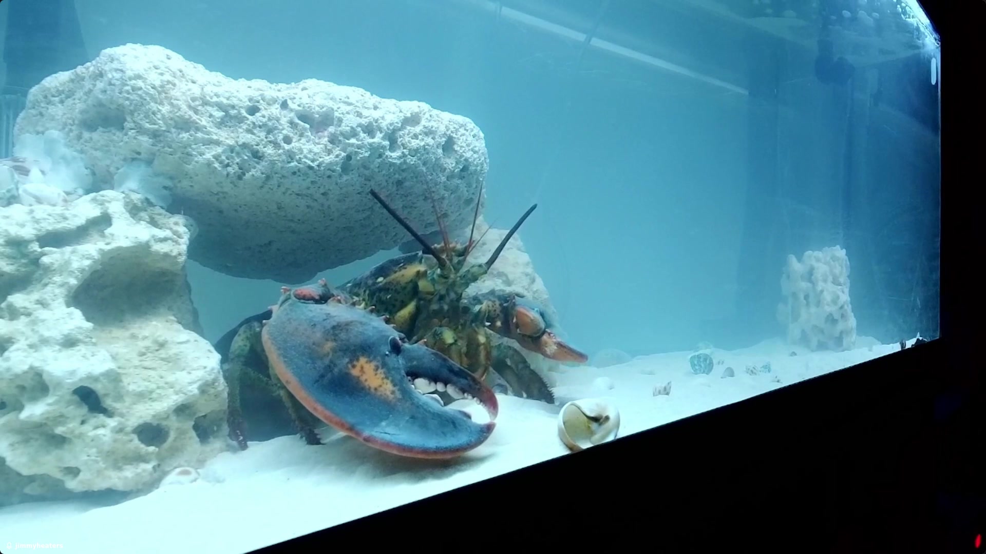 The Wanderer emerges